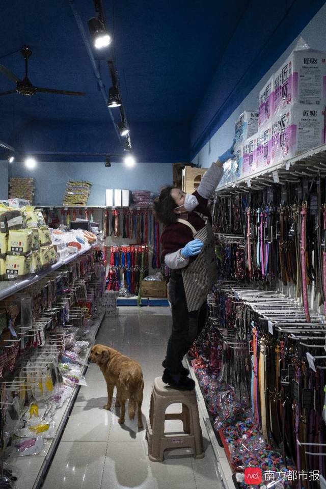 宠物用品市场,店员正准备发货.南都记者 张志韬 摄