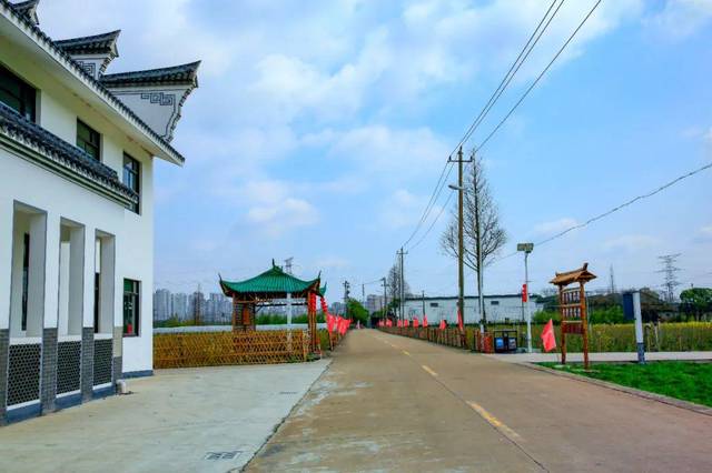 寻找社区最美春天⑦▕海曙集士港镇新后屠桥村