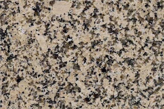 江西菊花黄麦 图源:石材宝app