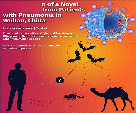 作者对sars-cov-2可能的起源给出了两种"  设想"