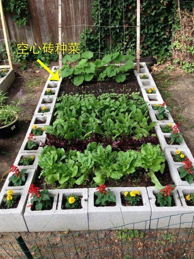 小院种菜铺砖图效果图图片