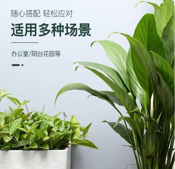 懒人养花 自动 浇水神器 不用自己天天浇水了 赞 懒人浇花自动浇水装置 二安网
