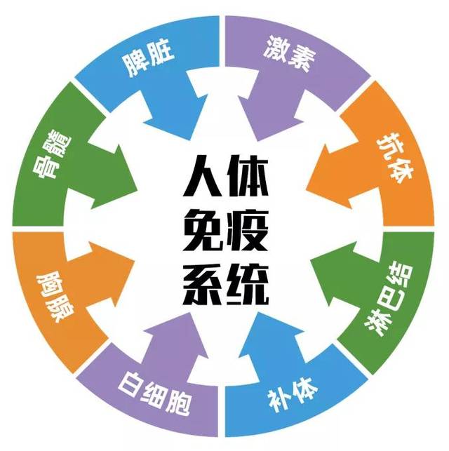 你的免疫力好吗?