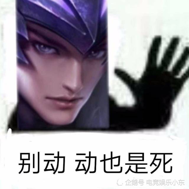 王者荣耀沙雕接头王者英雄表情包最后一张忍住别笑