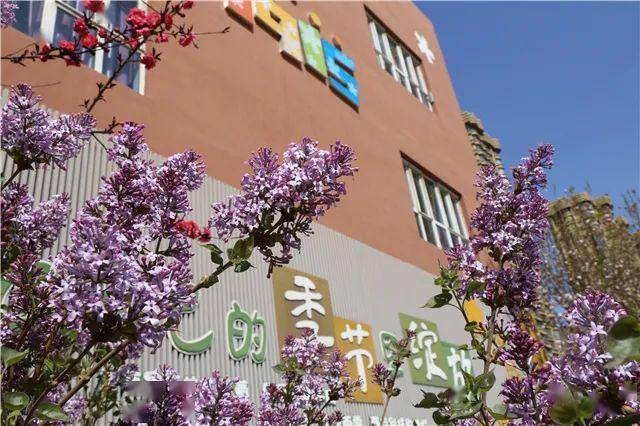 石家庄市新华区党家庄学校