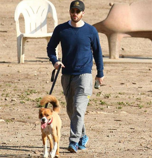 一男子一天遛狗38次,狗狗累趴后接着遛公鸡?千方百计只为出门