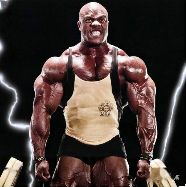 【手臂】健美界最好的手臂,菲尔西斯手臂训练安排_手机搜狐网