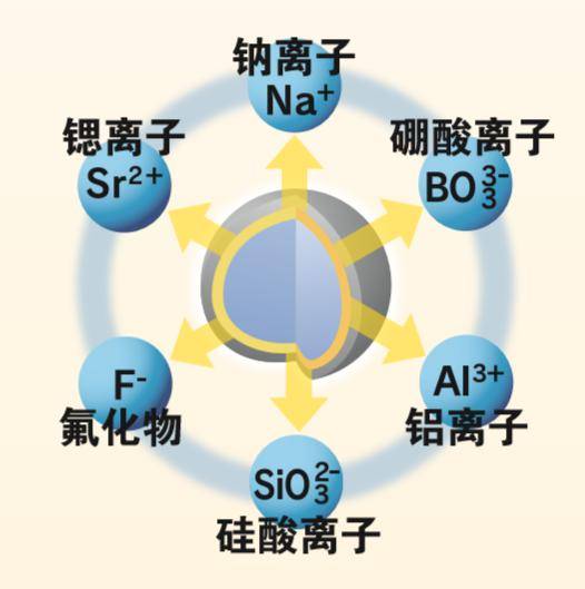 富含生物活性的窩溝封閉劑-小小牙齒保護傘