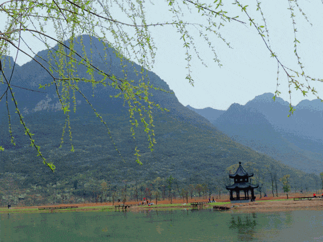 感受到久违的畅快 从侯山古道下来最先引入眼帘的 便是侯山畔的荷花