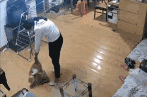 福懋动物医院那些虐猫的人渣或许就潜伏在你身边