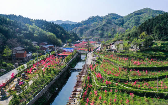 新县卡房乡首届杜鹃红文化旅游季启动