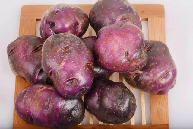 舌尖上的乌洋芋_手机搜狐网