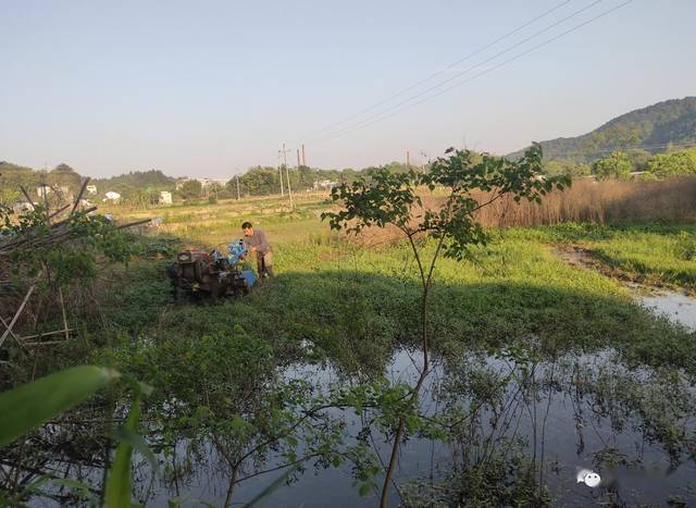 脱贫又入党! 刘明全让铁石口高桥村60多户贫困户对他竖起大拇指