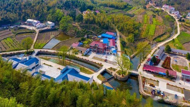 舒城我在石关看茶谷春色茶香迎面扑