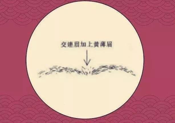 黄薄眉