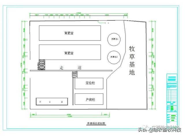 水泡粪设计图图片