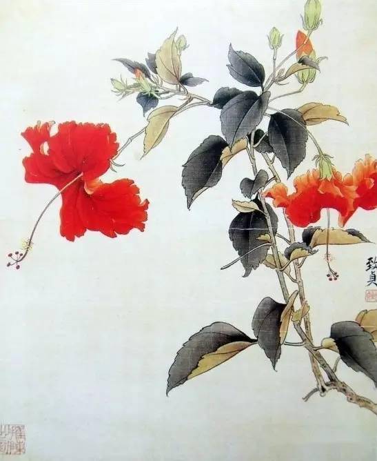 中国工笔画《荣宝斋花卉画谱》珍藏版！_搜狐网