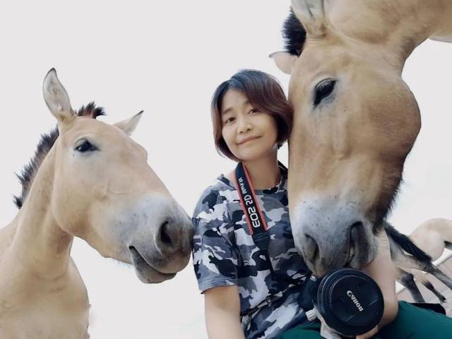 有奖征稿新疆张赫凡走进中国民间诗人新编诗歌卷