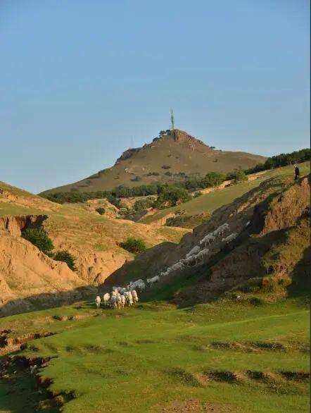 (一)古时候,在库伦旗疆土上居住的汉人将"阿琪玛山"称为"黑虎山".