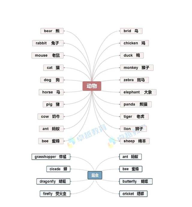 小学英语学习比较吃力?这些重点知识思维导图汇总赶紧收藏!