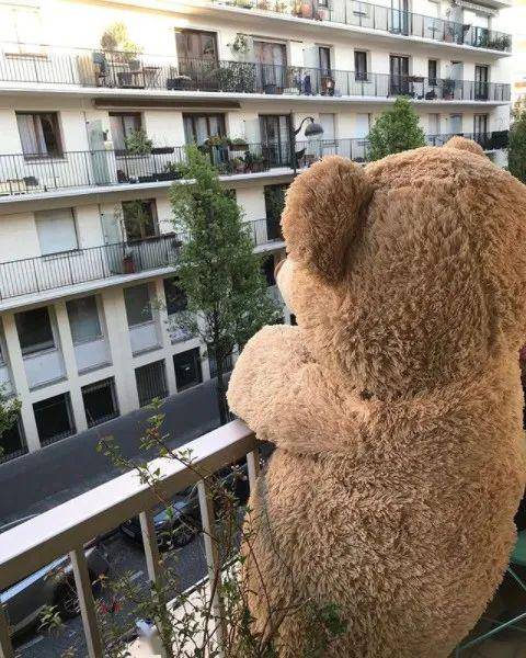 忙碌熊熊再上线,摇身变成最萌抗疫宣传大使!