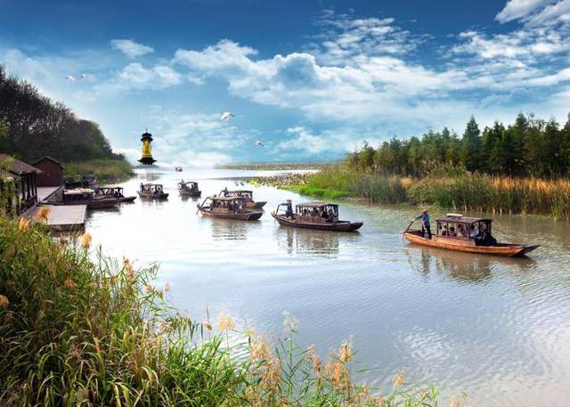 春揽全球生态500佳溱湖湿地公园溱潼古镇一日游