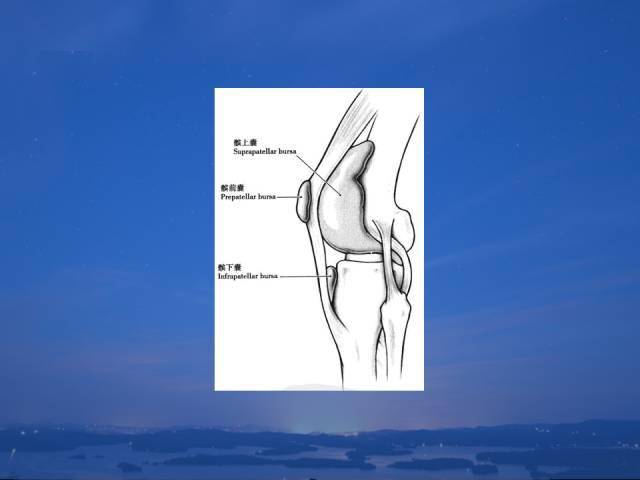 人體解剖——膝關節解剖與詳細治療方法和定位