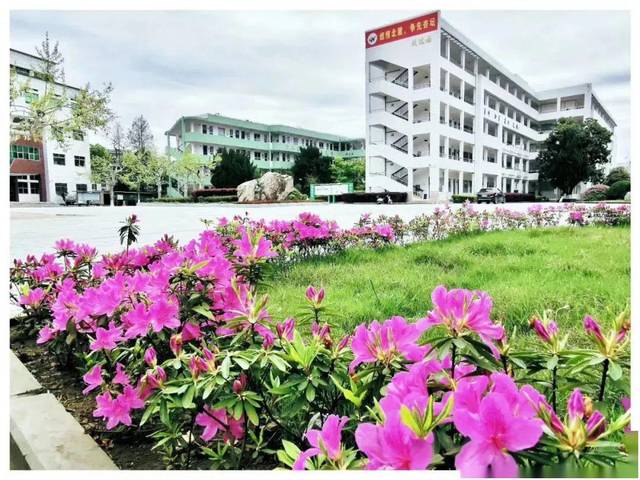 东阳市巍山高级中学高一高二返校告知书