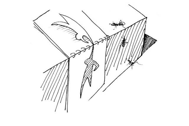 如果不想进入四维空间,你现在就不要往下看了一