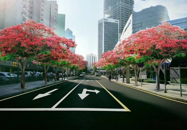 让城市焕发新颜——深圳南山区市政道路行道树补植工程设计_手机搜狐