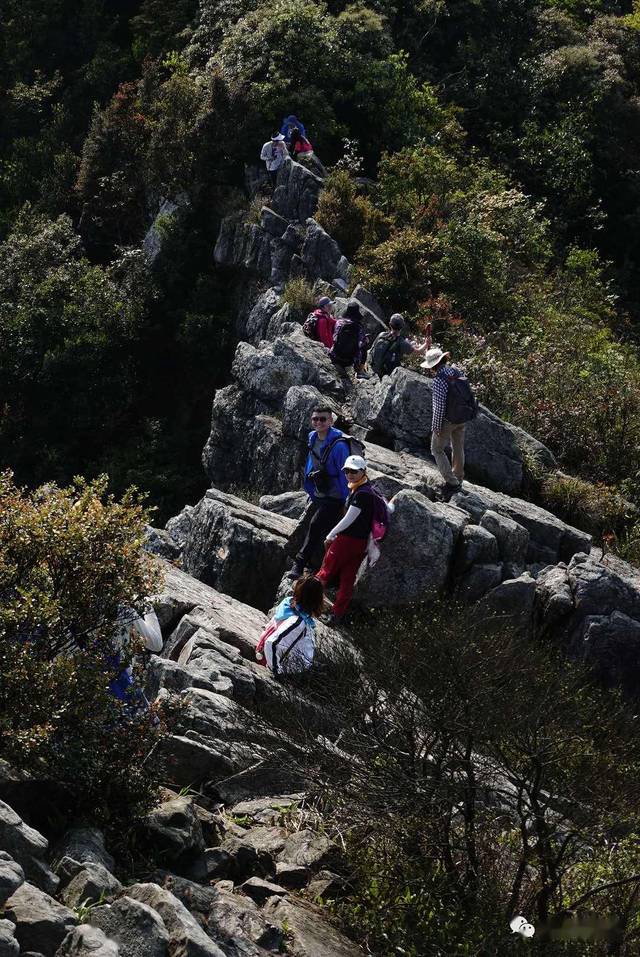 60 期 深圳排牙山 km 徒步