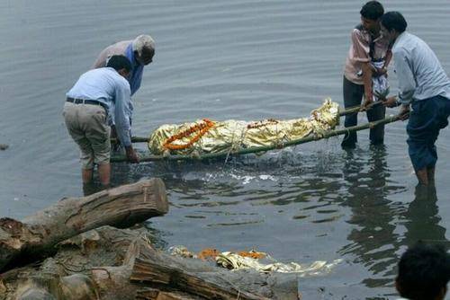 新冠死亡的屍體丟進大海,會順著食物鏈傳染人嗎?