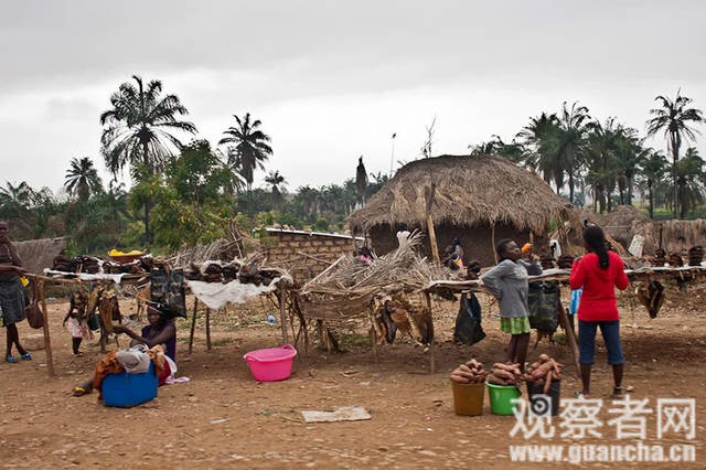 尚金格:在非洲大陆,我们有一点远不如西方_手机搜狐网