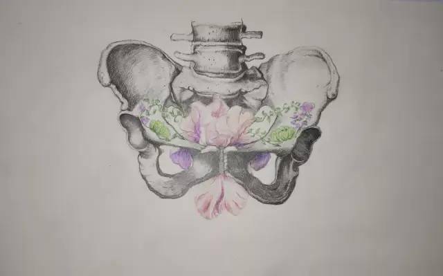 大健康学院人体解剖绘画大赛投票开始啦!