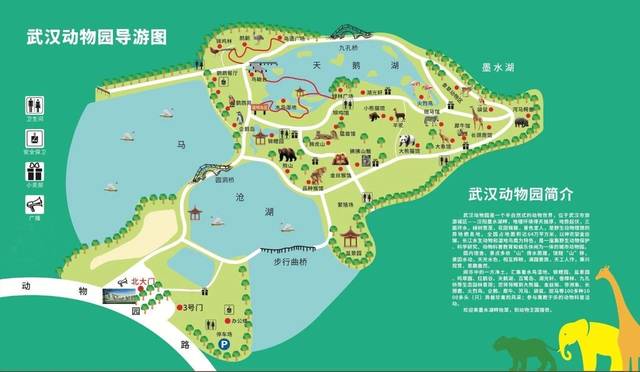 武汉动物园明日起恢复开放,呼吁大家提前网上购票