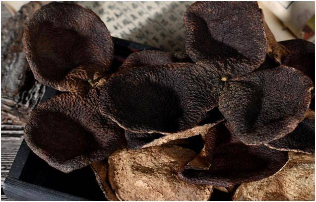 买陈皮少吃亏之:如何辨别陈皮年份造假