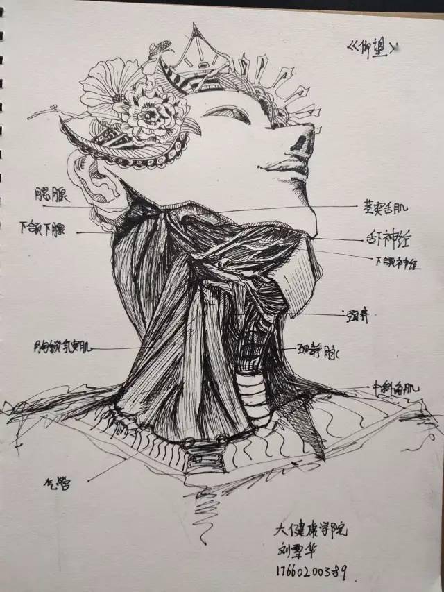 大健康学院人体解剖绘画大赛投票开始啦