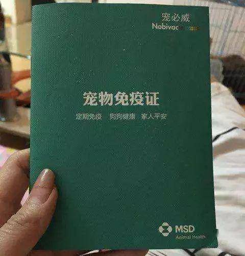 猫三联和狂犬疫苗的注射证明;免疫证/疫苗本最好有猫咪的正脸照片