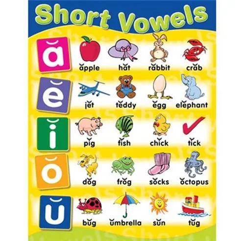 长元音 long vowels