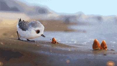 迪士尼治愈短片《鹬》:每个强大的人,都曾被生活打倒过.