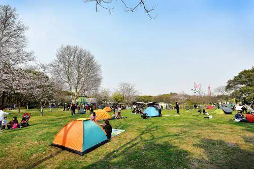 《2020"五一"旅游消费新趋势大数据报告》揭秘!