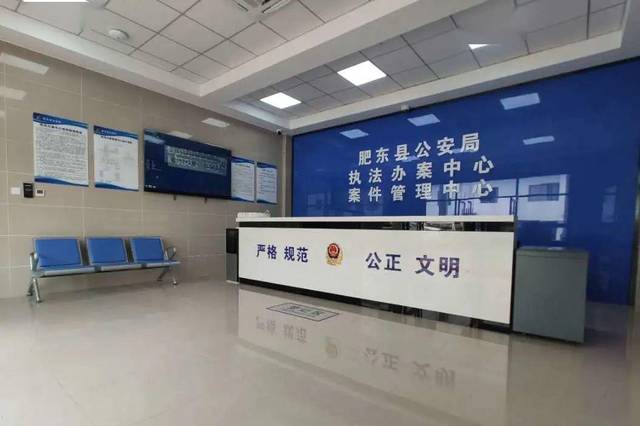 天地伟业助力肥东公安打造"四化"执法办案管理中心_手机搜狐网