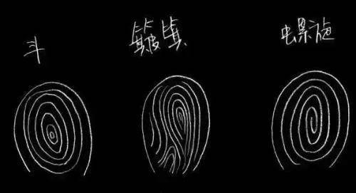 指纹的纹路分为三种:螺,斗,簸箕(bò ji)