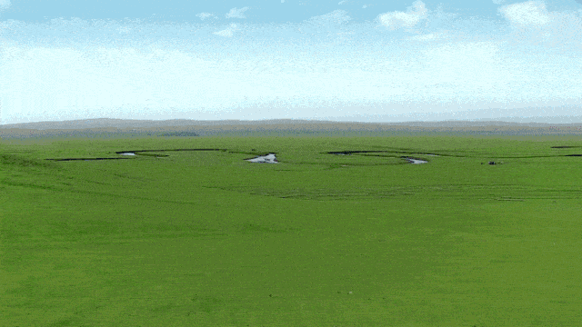 辽阔无边的大草原像是一块天工织就的绿色巨毯,绿草与蓝天相接处,牛羊