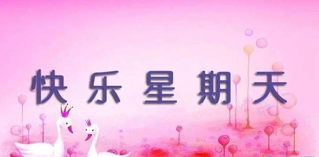 星期天发朋友圈最美的早安祝福表情图片 早晨问候朋友的暖心祝福语