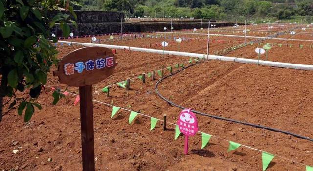 现实版开心农场趣味亲子闯关汉服抖音大赛五一可以这样过内含福利