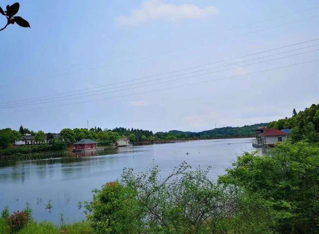 审核:陈效禹 教育园慧科茶陵慧科生态园生态园 平台声明