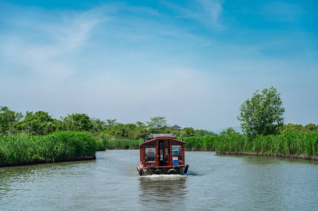 五一还不知道去哪?那就来中国最美湿地,距离杭州约1小时车程