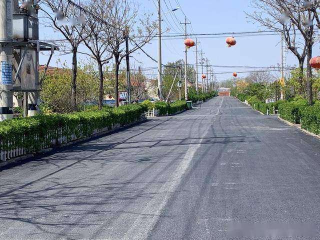莱西市望城街道:凝心聚力 加快打造美丽乡村示范片区