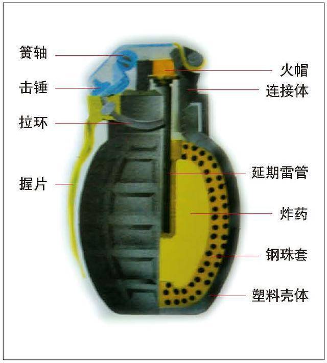 67式加重木柄手榴弹结构图 此时的手榴弹已开始分为普通手榴弹和加重
